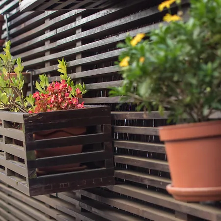 リバースイーツ 4* コインブラ